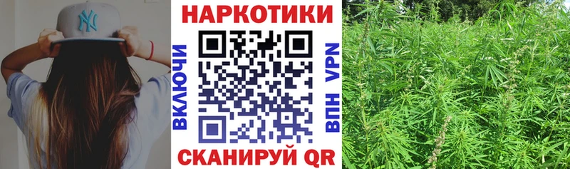 Магазины продажи наркотиков Абаза Галлюциногенные грибы  Бутират  Гашиш  Меф  МАРИХУАНА  APVP 