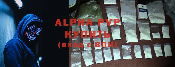 хмурый Абаза