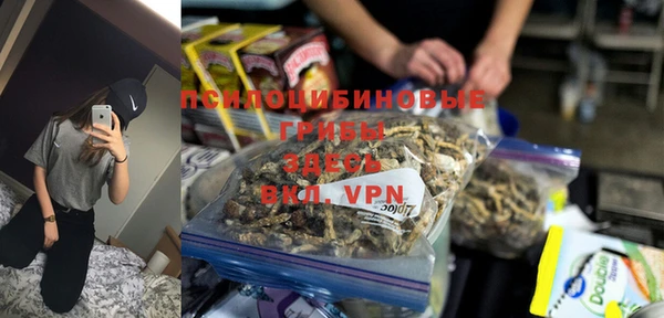 хмурый Абаза