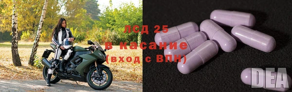 хмурый Абаза