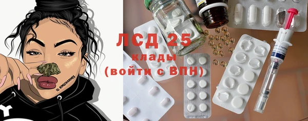 хмурый Абаза